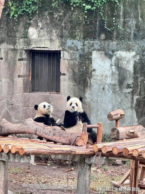 重庆 重庆7日游游玩指南麻将胡了什么时候适合去(图5) 重庆 重庆7日游游玩指南麻将胡了什么时候适合去(图5)