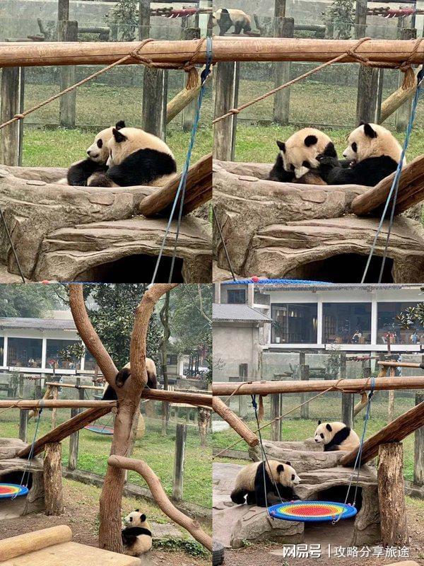 较好 重庆六日游路线推荐这篇攻略告诉你麻将胡了试玩模拟器什么时候重庆旅游比(图3)