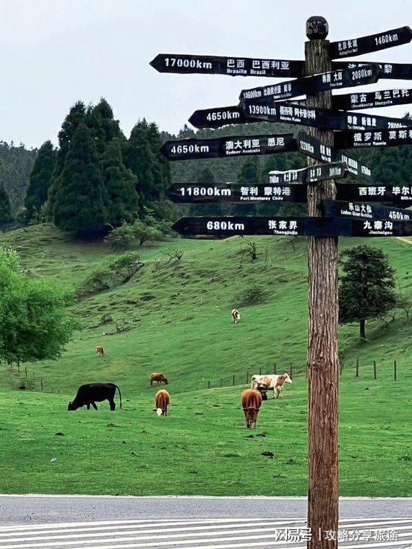 较好 重庆六日游路线推荐这篇攻略告诉你麻将胡了试玩模拟器什么时候重庆旅游比(图2)